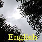 English page is here