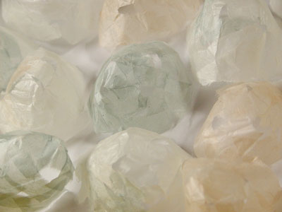 ���{���쒆