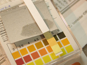 ���{�f�ނ̎_���x�𑪂�